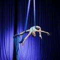 NYC Aerial Dance Festival 2025 in Buffalo