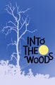 Into the Woods in Washington, DC