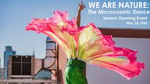 WE ARE NATURE: The Microcosmic Dance. Season Opening Event in Brooklyn