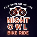 Night Owl Bike Ride in Chicago