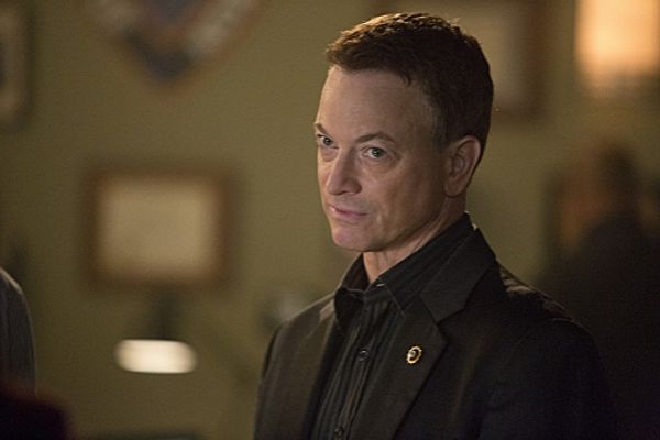 Gary Sinise Photo