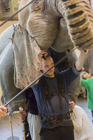 RUNNING WILD by Morpurgo,           , Writer - Michael Morpurgo, Adaption - Samuel Ad Photo